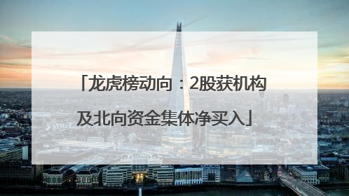 龙虎榜动向：2股获机构及北向资金集体净买入