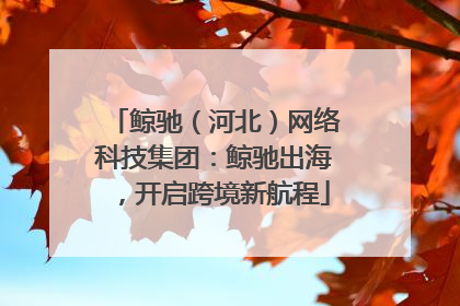 鲸驰（河北）网络科技集团：鲸驰出海，开启跨境新航程