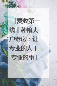 麦收第一线丨种粮大户老房：让专业的人干专业的事