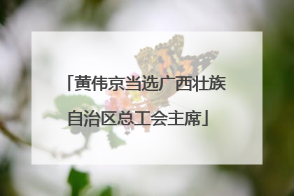 黄伟京当选广西壮族自治区总工会主席