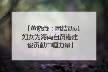 黄晓薇：团结动员妇女为海南自贸港建设贡献巾帼力量