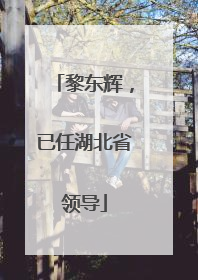 黎东辉，已任湖北省领导