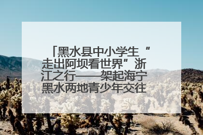 黑水县中小学生“走出阿坝看世界”浙江之行——架起海宁黑水两地青少年交往交流交融新桥梁