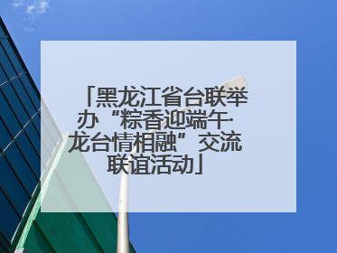 黑龙江省台联举办“粽香迎端午·龙台情相融”交流联谊活动