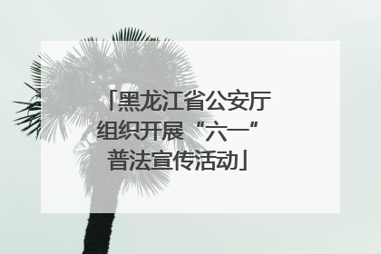 黑龙江省公安厅组织开展“六一”普法宣传活动