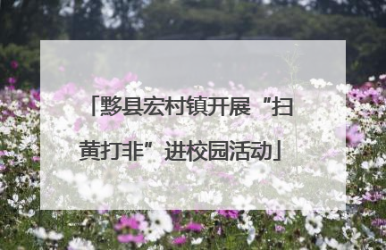 黟县宏村镇开展“扫黄打非”进校园活动