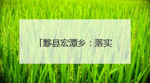 黟县宏潭乡：落实“田长制” 守好良田保“粮仓”