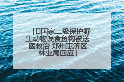 ﻿国家二级保护野生动物误食鱼钩被送医救治 郑州惠济区林业局回应