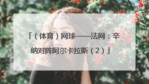 （体育）网球——法网：辛纳对阵阿尔卡拉斯（2）