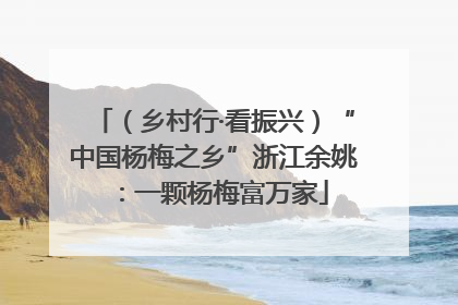 （乡村行·看振兴）“中国杨梅之乡”浙江余姚：一颗杨梅富万家