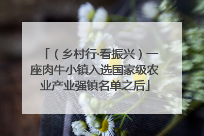 （乡村行·看振兴）一座肉牛小镇入选国家级农业产业强镇名单之后