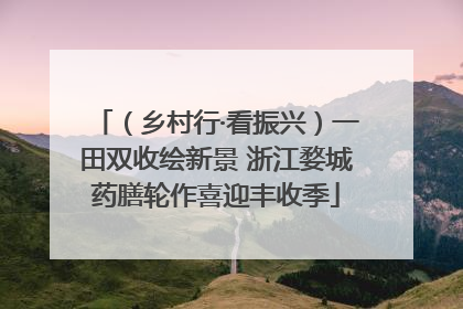（乡村行·看振兴）一田双收绘新景 浙江婺城药膳轮作喜迎丰收季