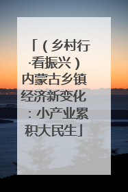 （乡村行·看振兴）内蒙古乡镇经济新变化：小产业累积大民生