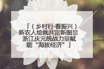 （乡村行·看振兴）新农人绘就共富新图景 浙江庆元统战力量赋能“海拔经济”