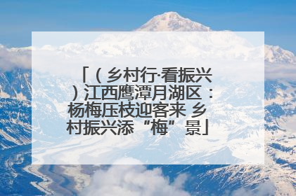 （乡村行·看振兴）江西鹰潭月湖区：杨梅压枝迎客来 乡村振兴添“梅”景