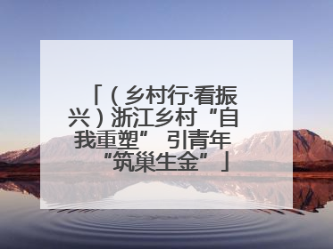 （乡村行·看振兴）浙江乡村“自我重塑” 引青年“筑巢生金”