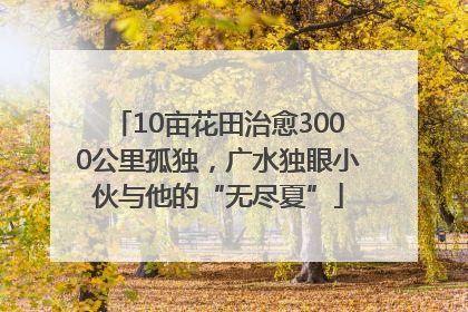 10亩花田治愈3000公里孤独，广水独眼小伙与他的“无尽夏”