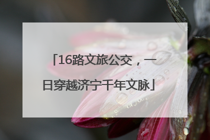 16路文旅公交，一日穿越济宁千年文脉