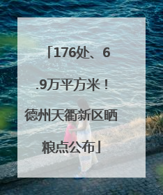 176处、6.9万平方米！德州天衢新区晒粮点公布