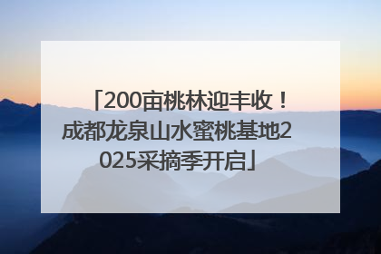 200亩桃林迎丰收！成都龙泉山水蜜桃基地2025采摘季开启