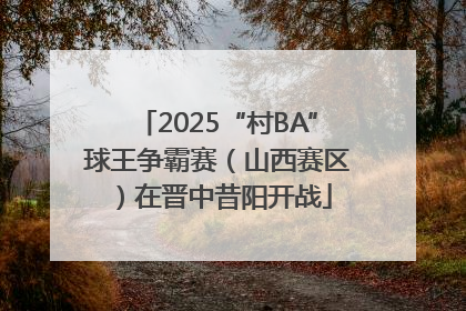 2025“村BA”球王争霸赛（山西赛区）在晋中昔阳开战
