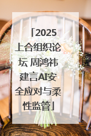 2025上合组织论坛 周鸿祎建言AI安全应对与柔性监管