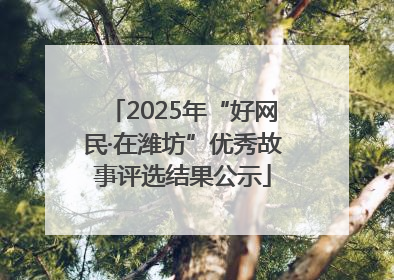 2025年“好网民·在潍坊”优秀故事评选结果公示