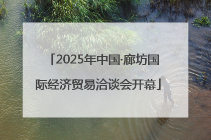 2025年中国·廊坊国际经济贸易洽谈会开幕