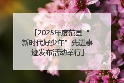 2025年度范县“新时代好少年”先进事迹发布活动举行