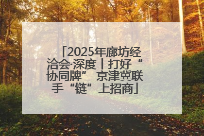 2025年廊坊经洽会·深度丨打好“协同牌” 京津冀联手“链”上招商