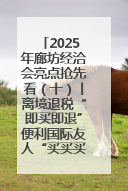 2025年廊坊经洽会亮点抢先看（十）丨离境退税“即买即退”便利国际友人“买买买”