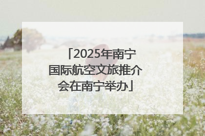 2025年南宁国际航空文旅推介会在南宁举办