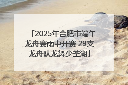 2025年合肥市端午龙舟赛雨中开赛 29支龙舟队龙舞少荃湖