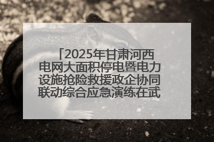 2025年甘肃河西电网大面积停电暨电力设施抢险救援政企协同联动综合应急演练在武威成功举行