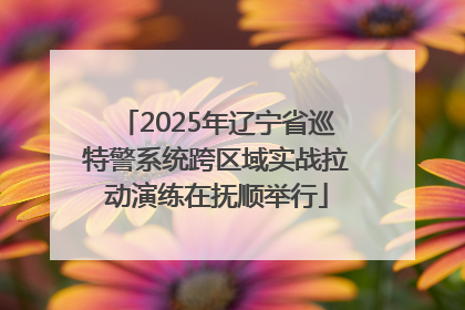 2025年辽宁省巡特警系统跨区域实战拉动演练在抚顺举行