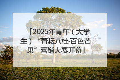 2025年青年（大学生）“青耘八桂·百色芒果”营销大赛开幕