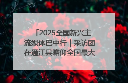 2025全国新兴主流媒体巴中行｜采访团在通江县瞻仰全国最大红军烈士陵园
