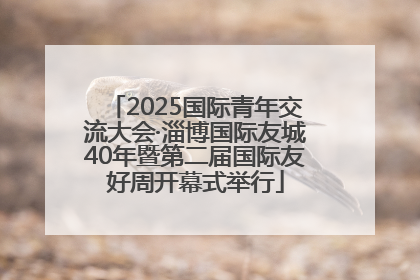 2025国际青年交流大会·淄博国际友城40年暨第二届国际友好周开幕式举行
