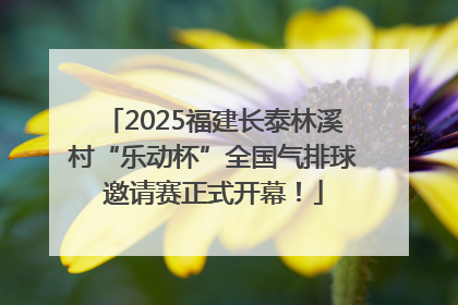 2025福建长泰林溪村“乐动杯”全国气排球邀请赛正式开幕！