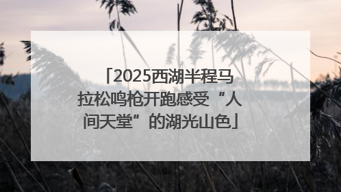 2025西湖半程马拉松鸣枪开跑感受“人间天堂”的湖光山色