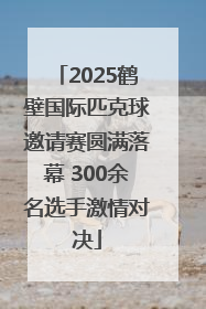 2025鹤壁国际匹克球邀请赛圆满落幕 300余名选手激情对决