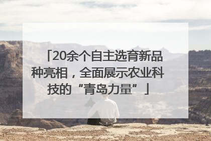 20余个自主选育新品种亮相，全面展示农业科技的“青岛力量”