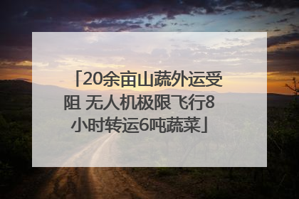 20余亩山蔬外运受阻 无人机极限飞行8小时转运6吨蔬菜