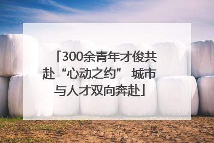 300余青年才俊共赴“心动之约” 城市与人才双向奔赴