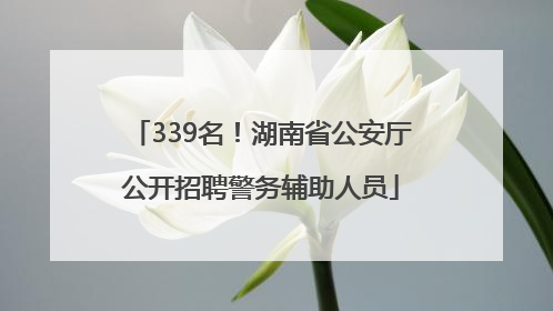 339名！湖南省公安厅公开招聘警务辅助人员
