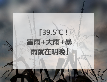 39.5℃！雷雨+大雨+暴雨就在明晚