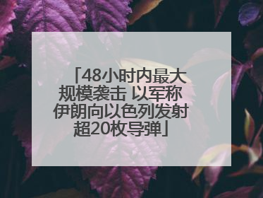 48小时内最大规模袭击 以军称伊朗向以色列发射超20枚导弹