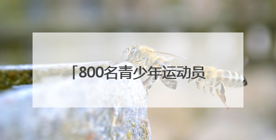 800名青少年运动员跃动青春 首届郑州市青少年三大球联赛开幕