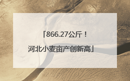 866.27公斤！河北小麦亩产创新高