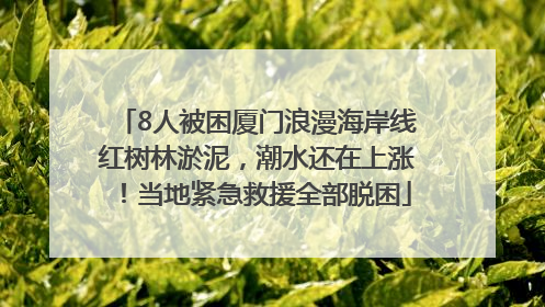 8人被困厦门浪漫海岸线红树林淤泥，潮水还在上涨！当地紧急救援全部脱困
